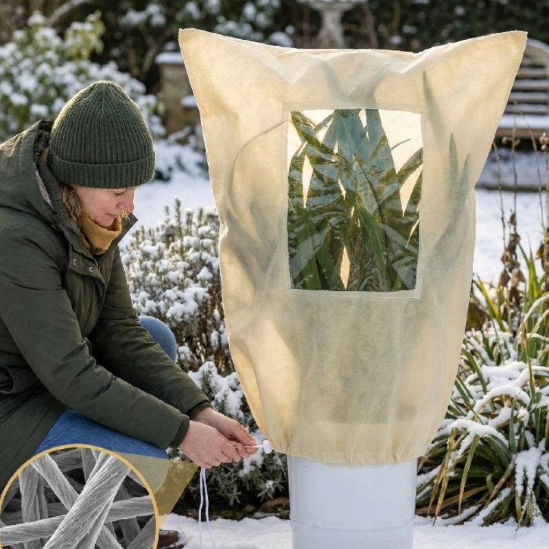 Protege tus plantas del invierno con estilo