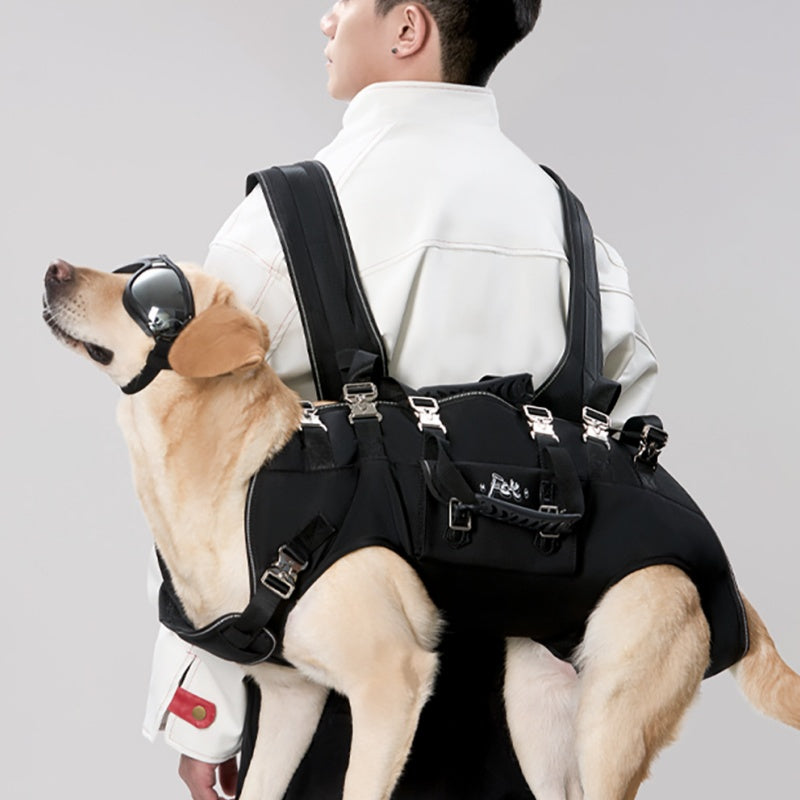 ¡Paseos sin estrés! Arnes doble para perros