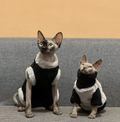 Abrigo Gatito Sin Pelo Invierno | Suave y Cálido