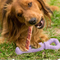 ¡Juguete Giratorio Mágico para Perros!