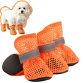 Zapatos para Perros Pequeños en Pavimento Caliente, Botas de Verano Transpirables