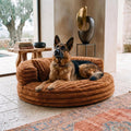 ¡Sofá Acolchado Lavable para tu Mascota!